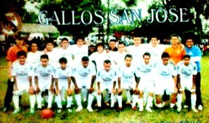 Gallos