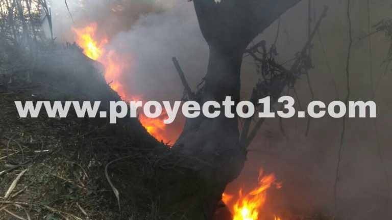 Incendio afecta arroyo de Amatlán, por derrame de hidrocarburos
