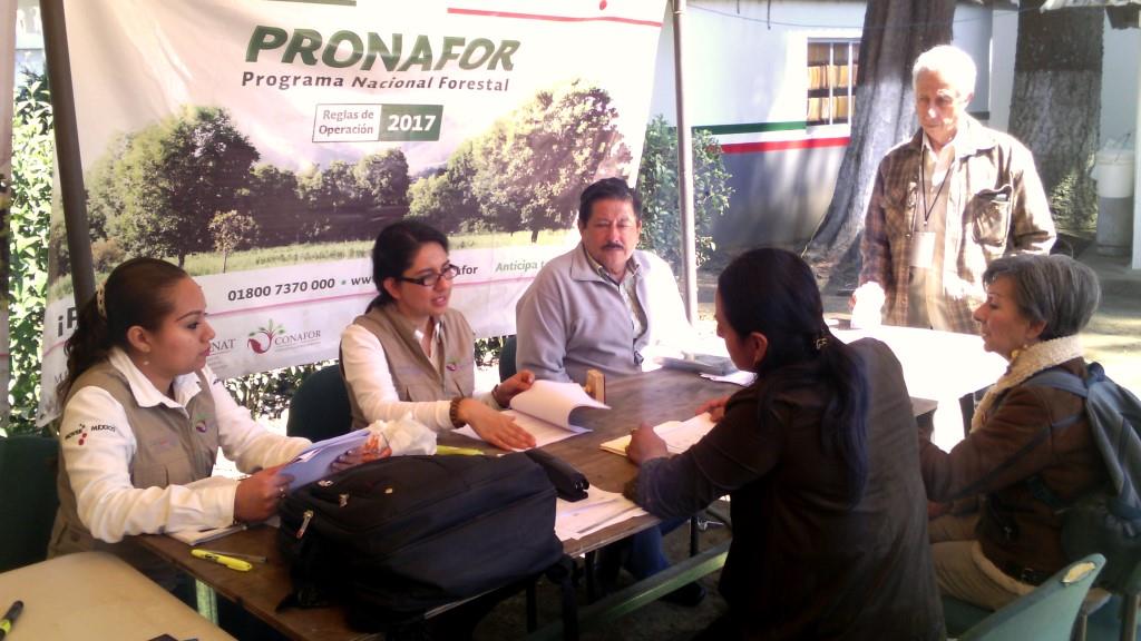 Cerraron ventanillas de Pronafor 2017. (1)