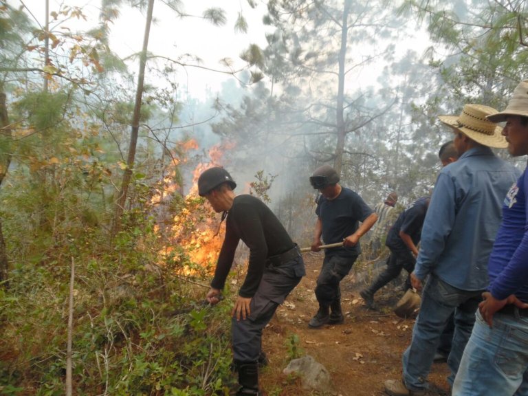 Fuego consume más de 300 hectáreas en región de San Andrés Tenejapan