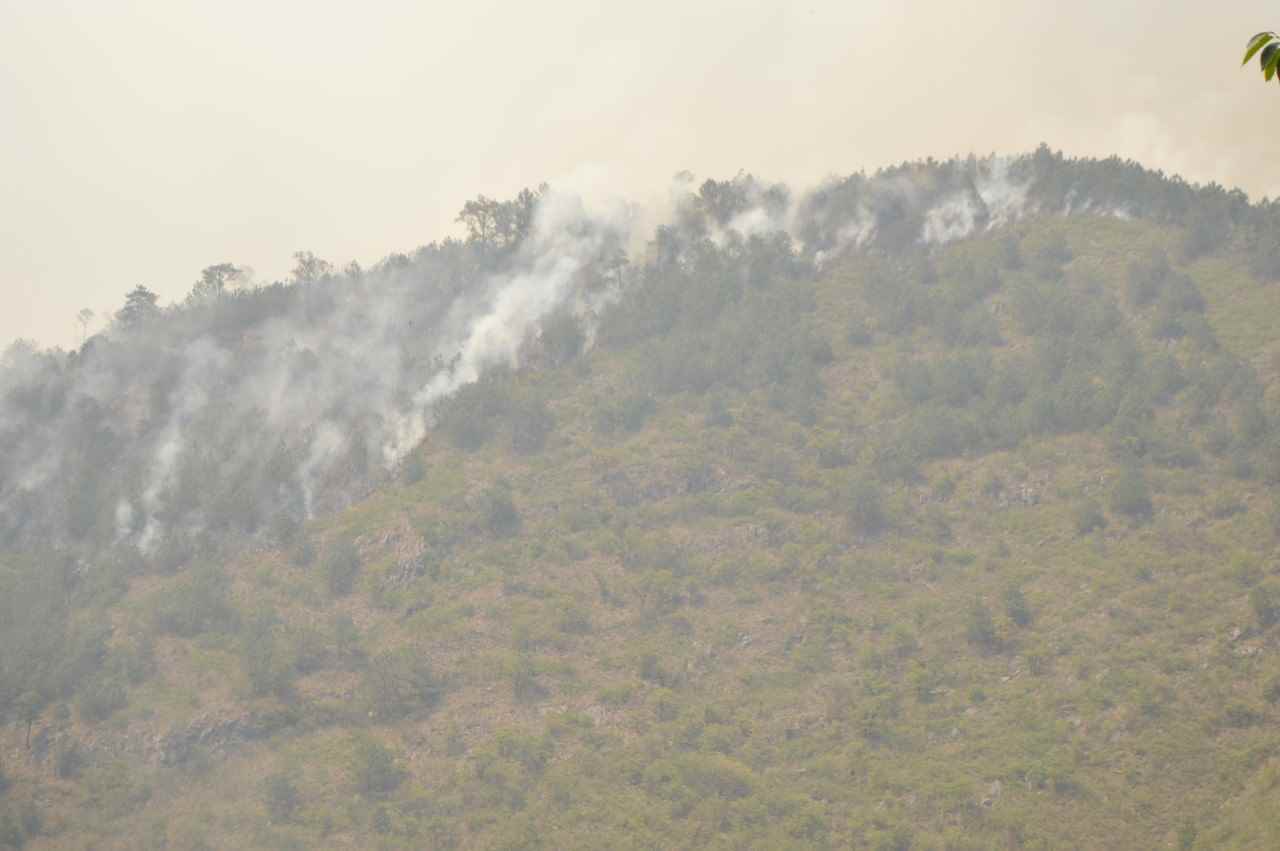ARDE EL CERRO DE TLAHUITOMPA 1