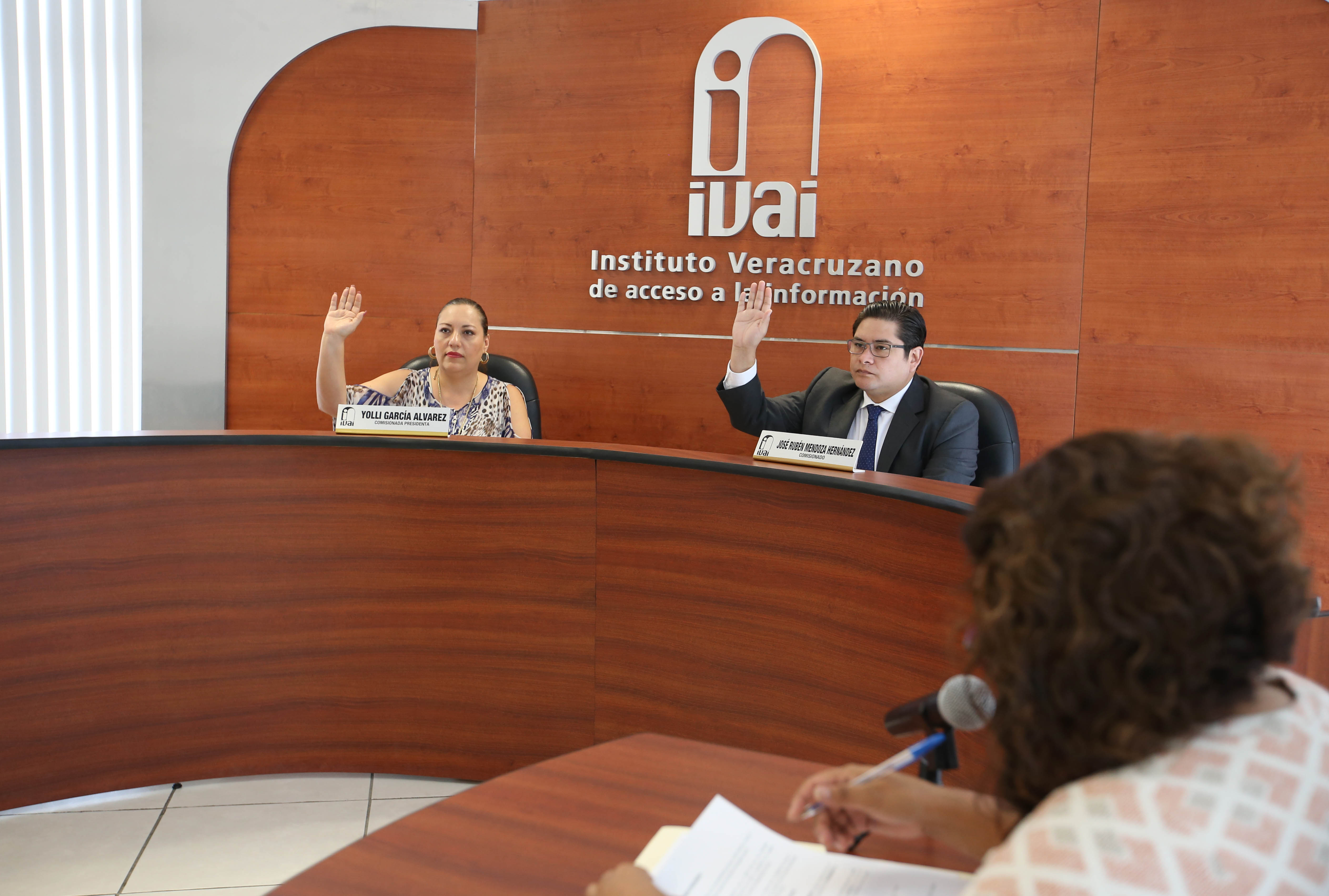 200617_IVAI_Sesión Pública_1
