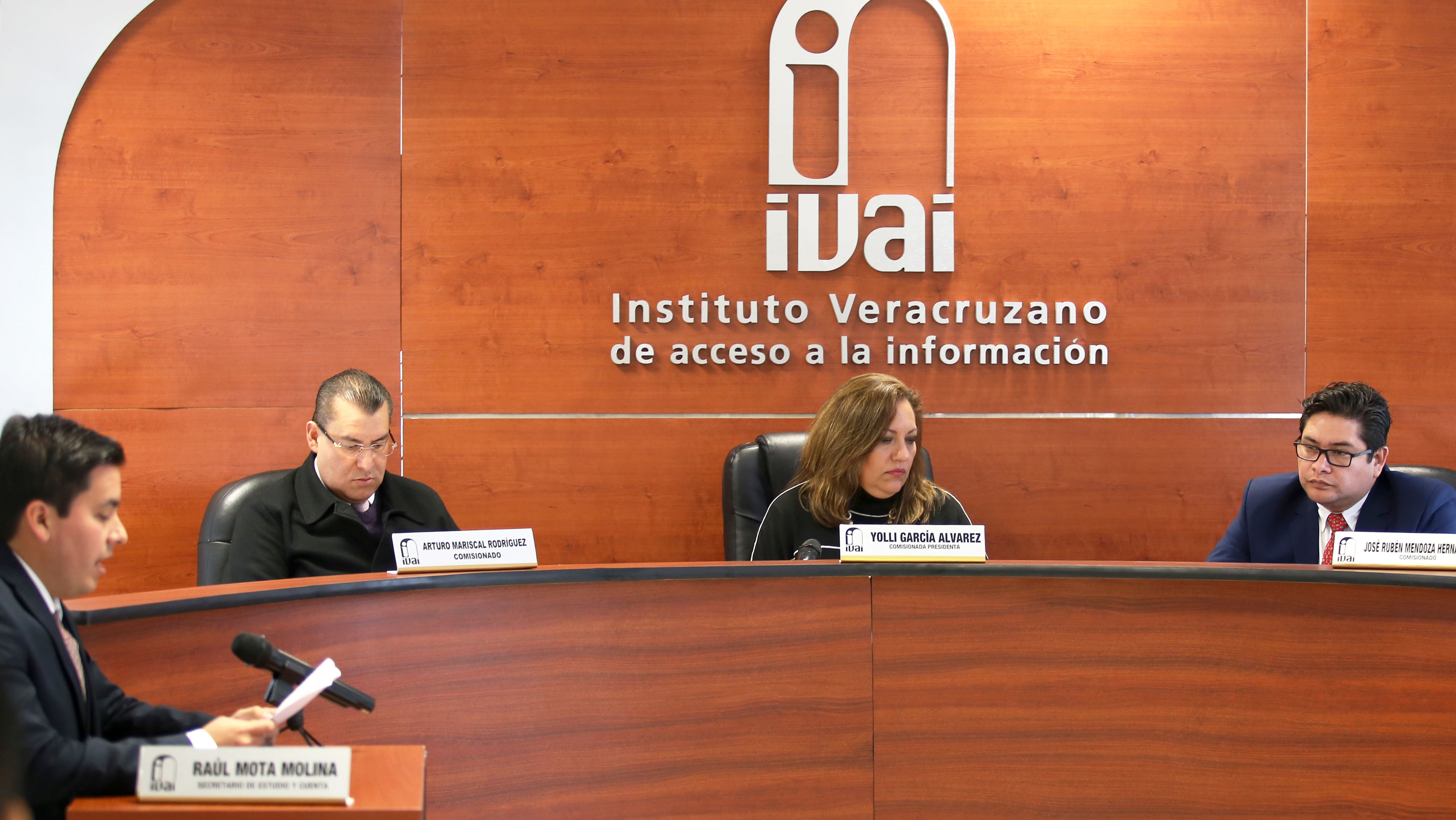 170118_IVAI_Sesión Pública_3