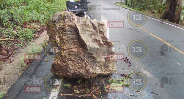 Cae roca y obstruye carretera Atoyac-Paso del Macho