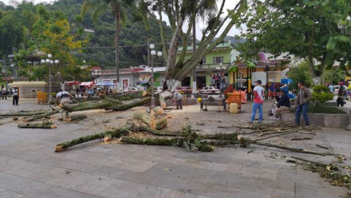 parque de zongolica
