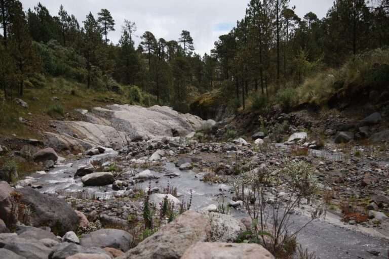 Por sequia se esperan 200 días sin agua en zona de las Altas Montañas