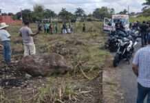 Jóvenes juegan carreritas en moto y se impactan en una piedra